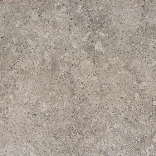 Close-up of Dekton Grigio stone featuring a soft grey base with warm beige undertones and subtle fossil-like textures, ideal for modern Scandinavian tables and surfaces.